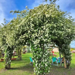 Termas-Basavilbaso-05