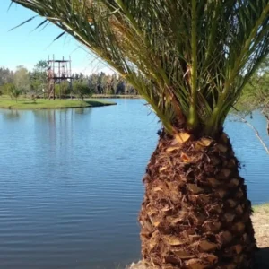 Termas-Concepcion-07