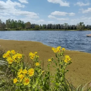 Termas-Concepcion-20