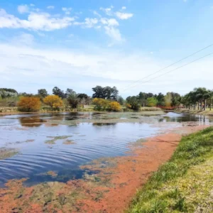 Termas-Concepcion-23