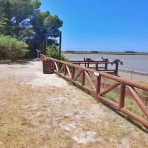 Termas-Marinas-Park-18