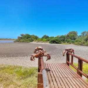 Termas-Marinas-Park-20