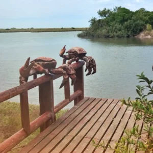 Termas-Marinas-Park-27