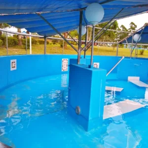 Termas-concordia-Vertiente-de-la-concordia-23