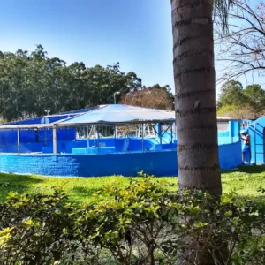 Termas-concordia-Vertiente-de-la-concordia-28