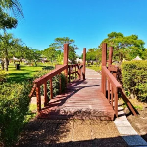 Termas-de-Federacion03