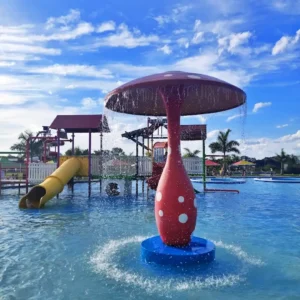 Termas-de-Federacion61