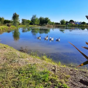 Termas-de-Maria-Grande-14