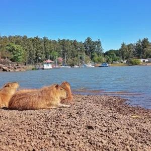 Termas-de-Punta-Viracho-14