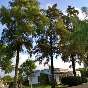 Termas-de-San-Jose-06