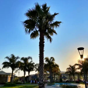 Termas-del-Guaychu-30