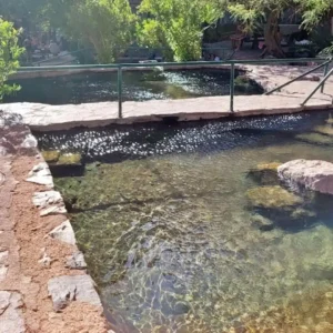 Terma-de-Fiambal-Catamarca-15