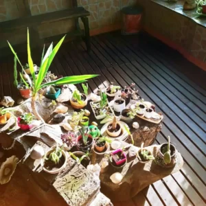 Terma-los-Gauchos-Buenos-Aires-09