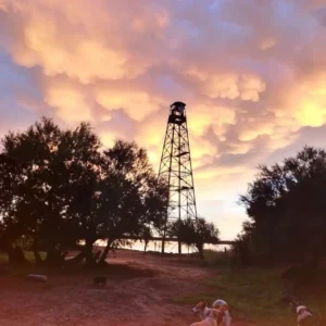 Terma-los-Gauchos-Buenos-Aires-14