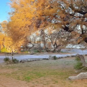 Terma-los-Gauchos-Buenos-Aires-15