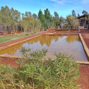 Termas-de-Luro-Buenos-Aires-13