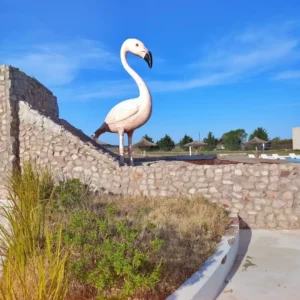 Termas-de-carhue-mar-de-epecuen-15