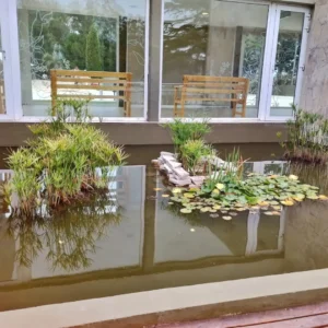 Termas-del-campo-Medano-Blanco-Buenos-Aires-05