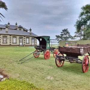 Termas-del-campo-Medano-Blanco-Buenos-Aires-50